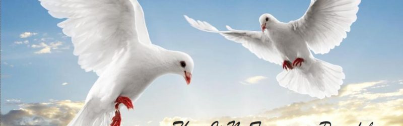 Work like a woman article. Image of two doves flying in the sky - there is no force more powerful than a woman determined to rise
