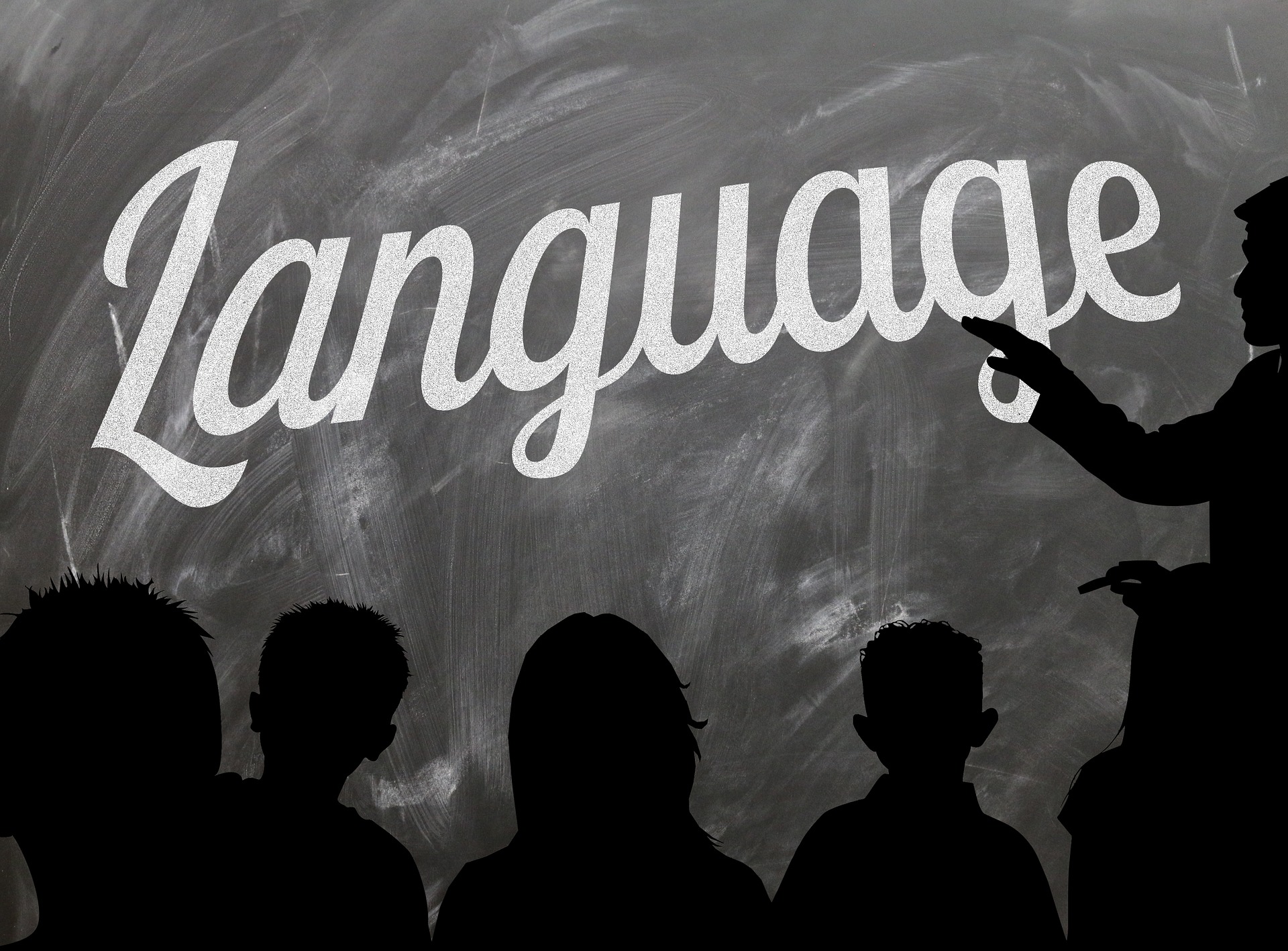 Languages - Image of Students facing a black board and instructor in a Language class