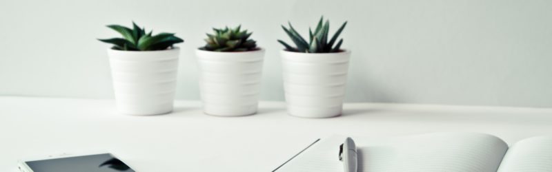 Be your own boss, become an entrepreneur - Image of white table with a phone some potted plants, book and pen