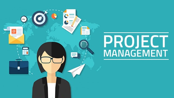 HSI Project Management